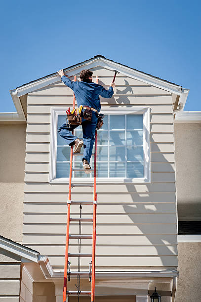 Affordable Siding Repair and Maintenance Services in Novato, CA